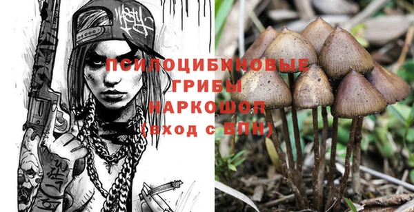 молекула духа Абинск