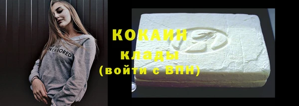 дживик Абаза